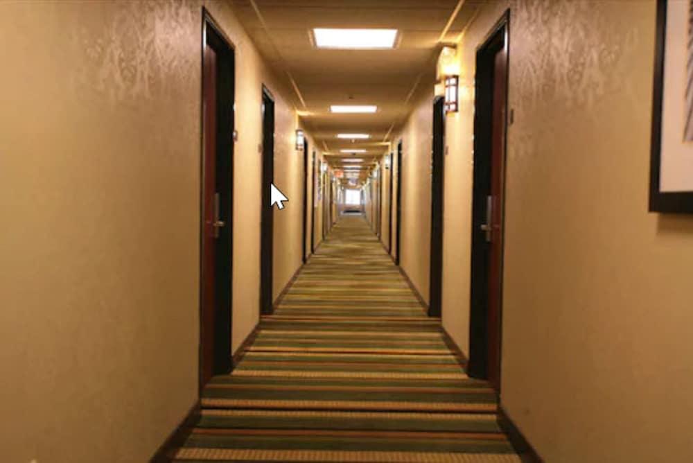 Hotel Baymont By Wyndham Dale Interior foto